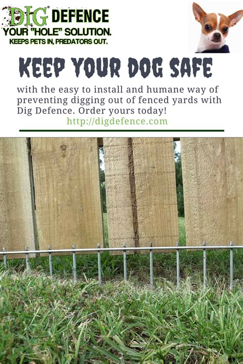 Does a Magic Fence Work for All Breeds and Sizes of Dogs?